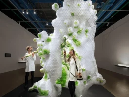 The Future: What it Means and Why You Should be Scared